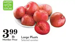 Pavilions Large Pluots offer