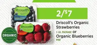 Heinen's Driscoll's Organic Strawberries 1 LB. PACKAGE or Organic Blueberries PINT offer