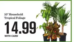 Mariano's 10 Household Tropical Foliage offer