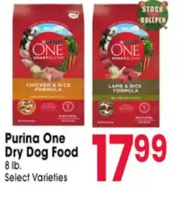 Jewel-Osco Purina One Dry Dog Food offer