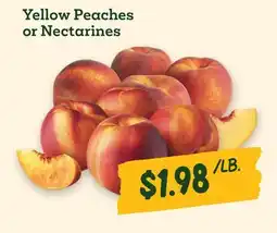 Sprouts Farmers Market Yellow Peaches or Nectarines offer