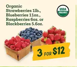 Sprouts Farmers Market Organic Strawberries 1lb., Blueberries 11oz., Raspberries 6oz. or Blackberries 5.6oz offer