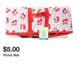 Five Below Picnic Mat offer