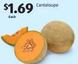 Aldi Cantaloupe offer
