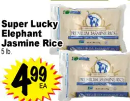 Superior Grocers Super Lucky Elephant Jasmine Rice offer