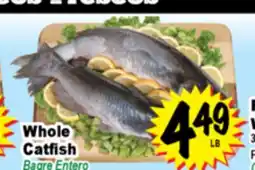 Superior Grocers Whole Catfish offer