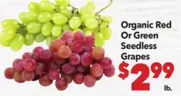 Vallarta Supermarkets Organic Red Or Green Seedless Grapes offer