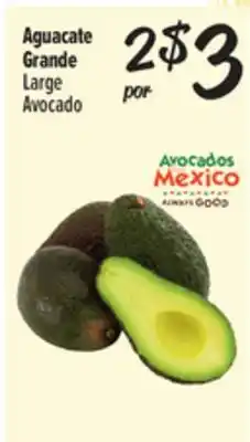 El Super Large Avocado offer