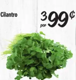 El Super Cilantro offer