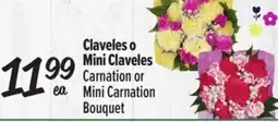 El Super Carnation or Mini Carnation Bouquet offer