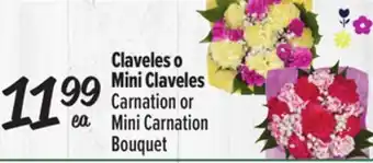 El Super Carnation or Mini Carnation Bouquet offer