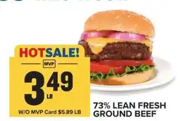 Food Lion 73% Lean Fresh Ground Beef offer