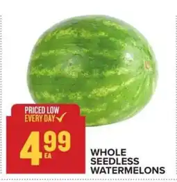 Food Lion Whole Seedless Watermelons offer