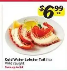 Winn Dixie Cold Water Lobster Tail offer