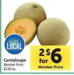 Safeway Cantaloupe offer