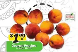 Winn Dixie Georgia Peaches offer