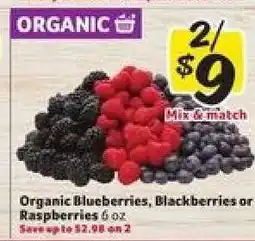 Winn Dixie Organic Blueberries, Blackberries or Raspberries offer
