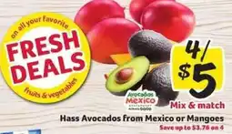 Winn Dixie Hass Avocados from Mexico or Mangoes offer