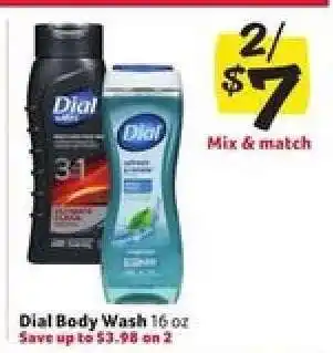 Winn Dixie Dial Body Wash offer