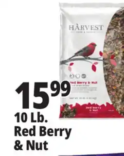 Ocean State Job Lot 10 Lb. Red Berry & Nut offer
