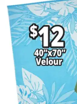 Ocean State Job Lot 40x70 Velour Beach Towels offer