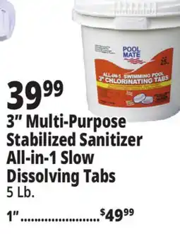 Ocean State Job Lot 3 Multi-Purpose Stabilized Sanitizer All-in-1 Slow Dissolving Tabs offer