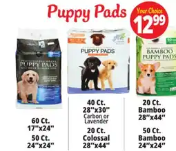 Ocean State Job Lot Puppy Pads offer