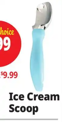 Ocean State Job Lot Ice Cream Scoop offer