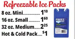 Ocean State Job Lot Refreezable Ice Packs offer