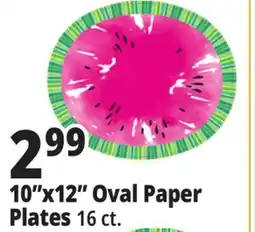Ocean State Job Lot 10x12 Oval Paper Plates offer