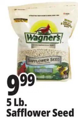 Ocean State Job Lot 5 Lb. Safflower Seed offer