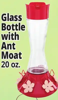 Ocean State Job Lot Glass Bottle with Ant Moat offer
