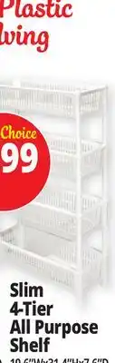 Ocean State Job Lot Slim 4-Tier All Purpose Shelf offer
