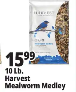 Ocean State Job Lot 10 Lb. Mealworm Medley offer