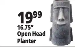 Ocean State Job Lot 16.75 Open Head Planter offer