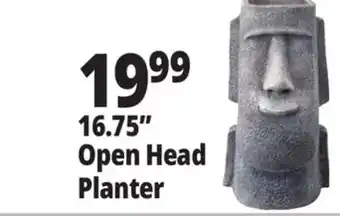 Ocean State Job Lot 16.75 Open Head Planter offer