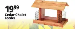 Ocean State Job Lot Cedar Chalet Feeder offer