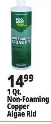 Ocean State Job Lot Pool Mate Non-Foaming Algae Rid 1 Qt offer
