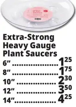 Ocean State Job Lot Extra-Strong Heavy Gauge Plant Saucers offer