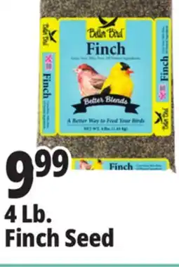 Ocean State Job Lot 4 Lb. Finch Seed offer