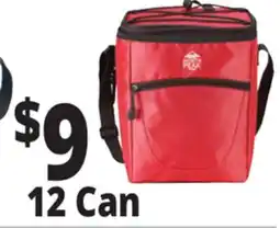 Ocean State Job Lot 12 Can Nylon Coolers offer
