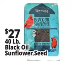 Ocean State Job Lot Black Oil Sunflower Seeds 40 lbs offer