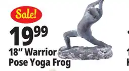 Ocean State Job Lot 18 Warrior Pose Yoga Frog offer