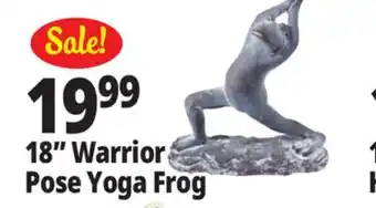 Ocean State Job Lot 18 Warrior Pose Yoga Frog offer
