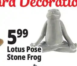 Ocean State Job Lot Lotus Pose Stone Frog offer