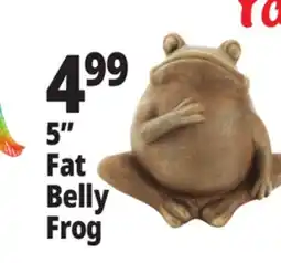 Ocean State Job Lot 5 Fat Belly Frog offer
