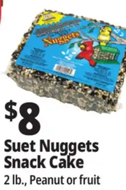 Ocean State Job Lot Suet Nuggets Snack Cake offer