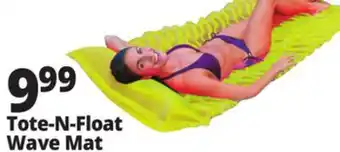 Ocean State Job Lot Tote-n-Float Wave Mat offer