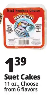 Ocean State Job Lot Suet Cakes offer