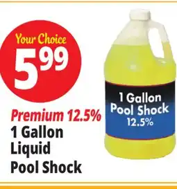 Ocean State Job Lot Liquid Pool Shock 1 Gal offer